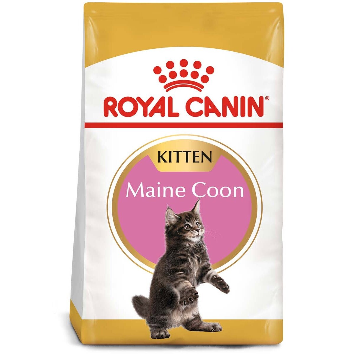 ROYAL CANIN Maine Coon granule pro koťata 2× 10 kg