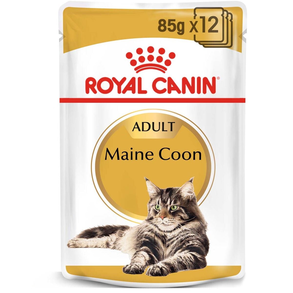 ROYAL CANIN Maine Coon Adult granule pro kočky 48 × 85 g