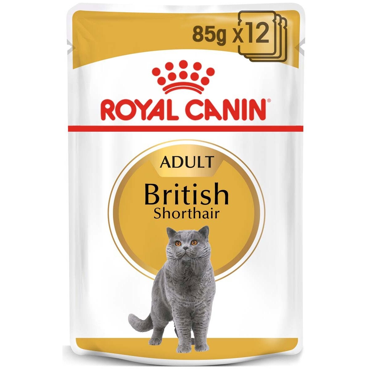 ROYAL CANIN British Shorthair Adult pro britské krátkosrsté kočky 48 × 85 g