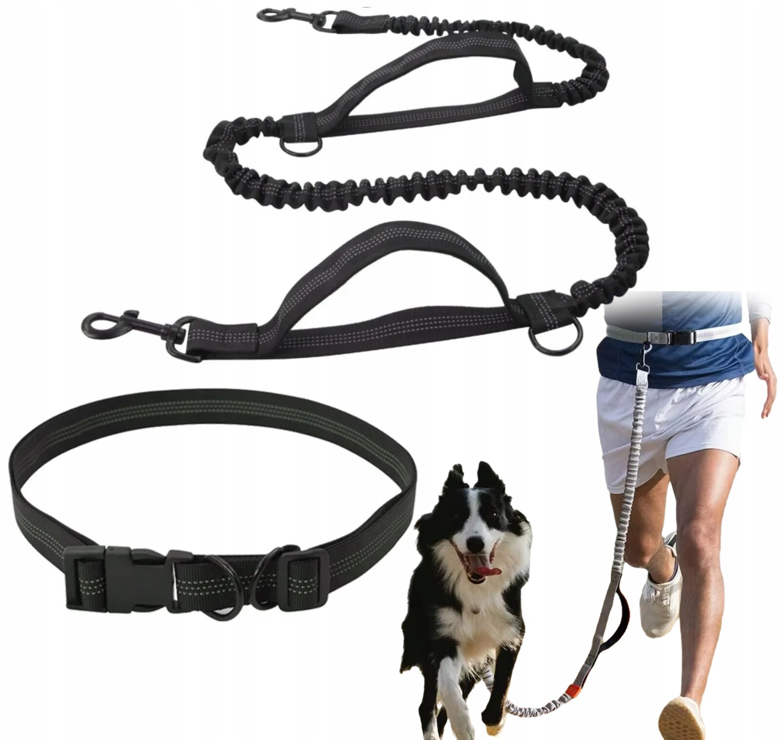 Vodítko S Tlumičem, Bederní Pás, Reflexní, Pevné