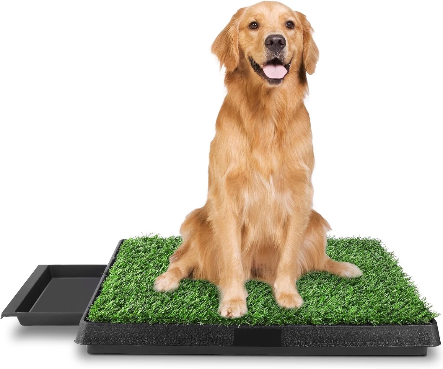 Toaleta pro štěňata, 63 x 50 cm, tréninková podložka