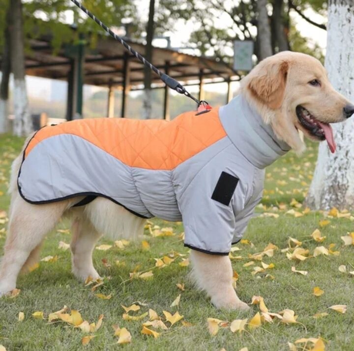 Zimní bunda pro psa Fishprincess voděodolná 3XL premium oranžová