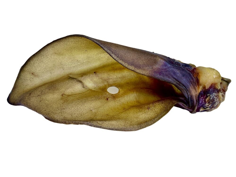 LK Baits Pet Sušené hovězí ucho se záuškem 1ks