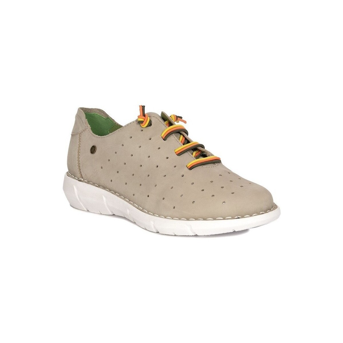 Maciejka  P681110001  ruznobarevne