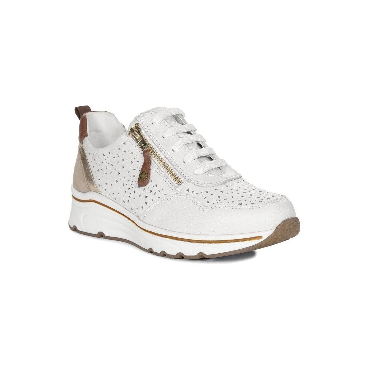 Maciejka  P680711009  ruznobarevne