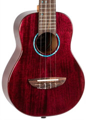 Flight IRIS TINTA CONCERT TPP