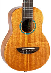 Flight IRIS TINTA CONCERT NA