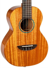 Flight IRIS TINTA TENOR NA