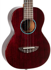 Flight IRIS TINTA TENOR TPP