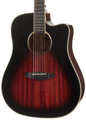 Tanglewood TW5 CE AVB (použité)