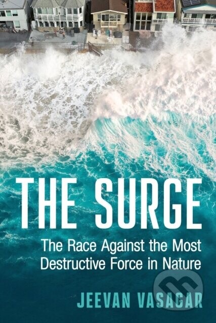 The Surge - Jeevan Vasagar