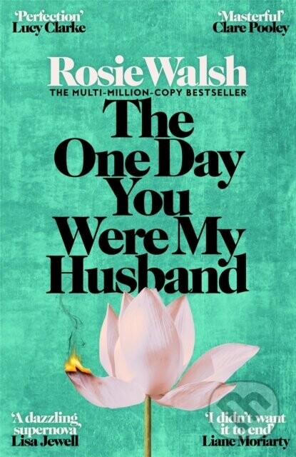 The One Day You Were My Husband - Rosie Walsh