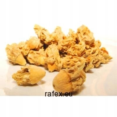 Opuncie Květ tety 100 g Rafex