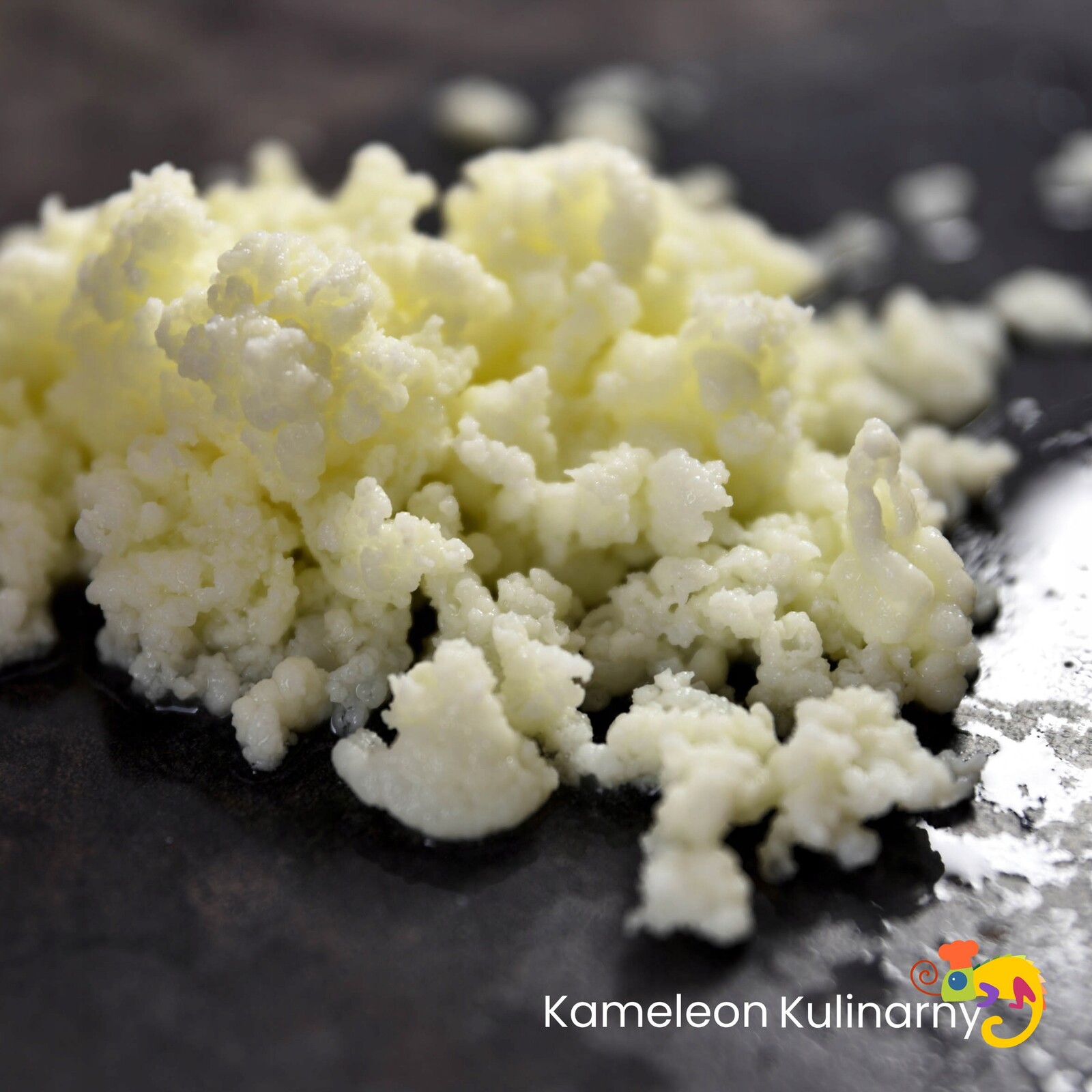 Tibetská Houba Kefírové zrno 15 g návod