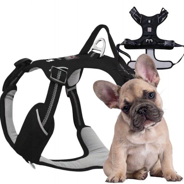 Šle Guard pro psa Adventure silné nastavitelné pohodlné Premium Black S