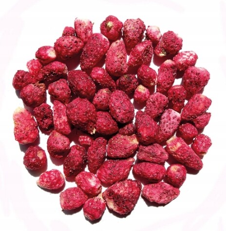 Liofilizovaná Lesní Jahoda 100 g