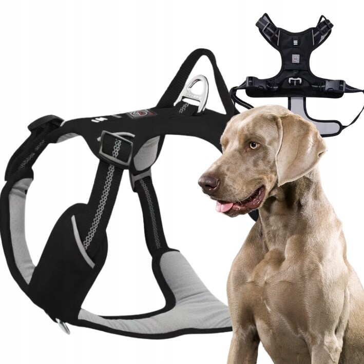 Šle Guard pro psa Adventure silné nastavitelné pohodlné Premium Black XL