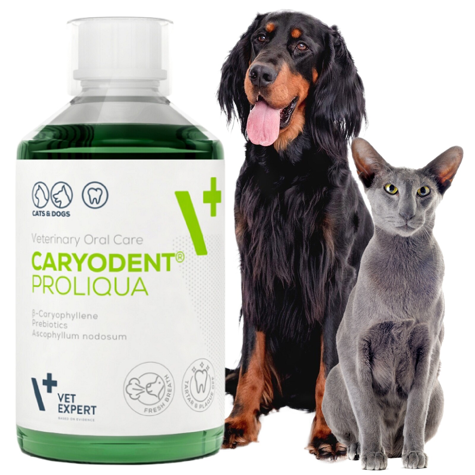 Caryodent Proliqua ústní voda pro psa kočku Vet Expert