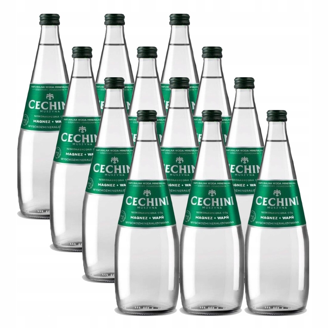 12 x nízkonasycená voda Cechini Muszyna vysoce mineralizovaná – skleněná 0,7 l