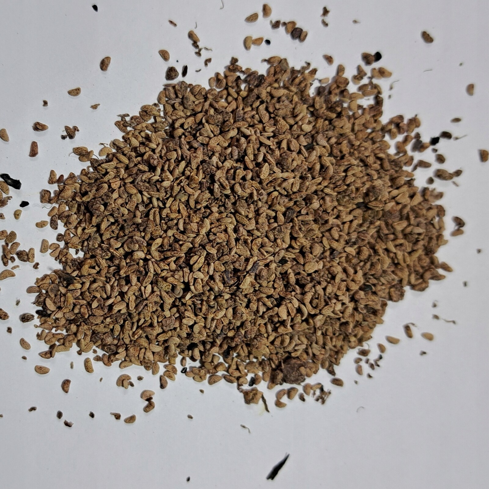 Malinová semínka 100 g Rafex