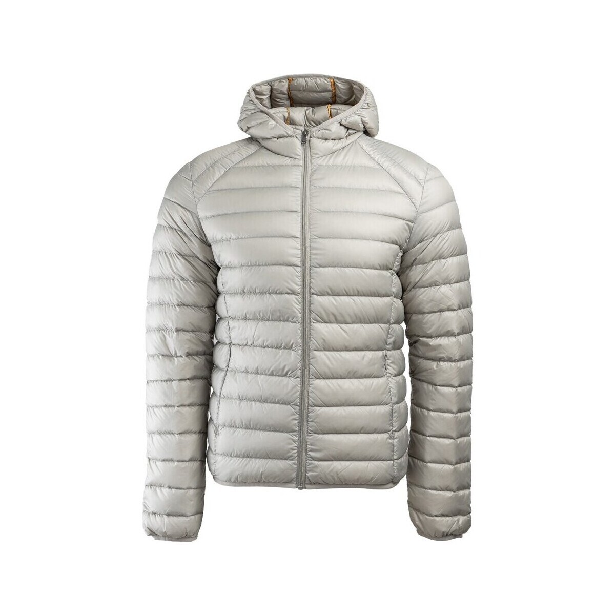 JOTT  Nico  Stříbrná