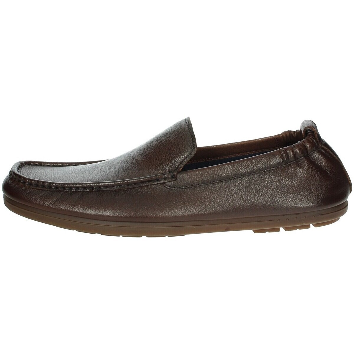 Amerigo Vespucci  AV341  Hnědá