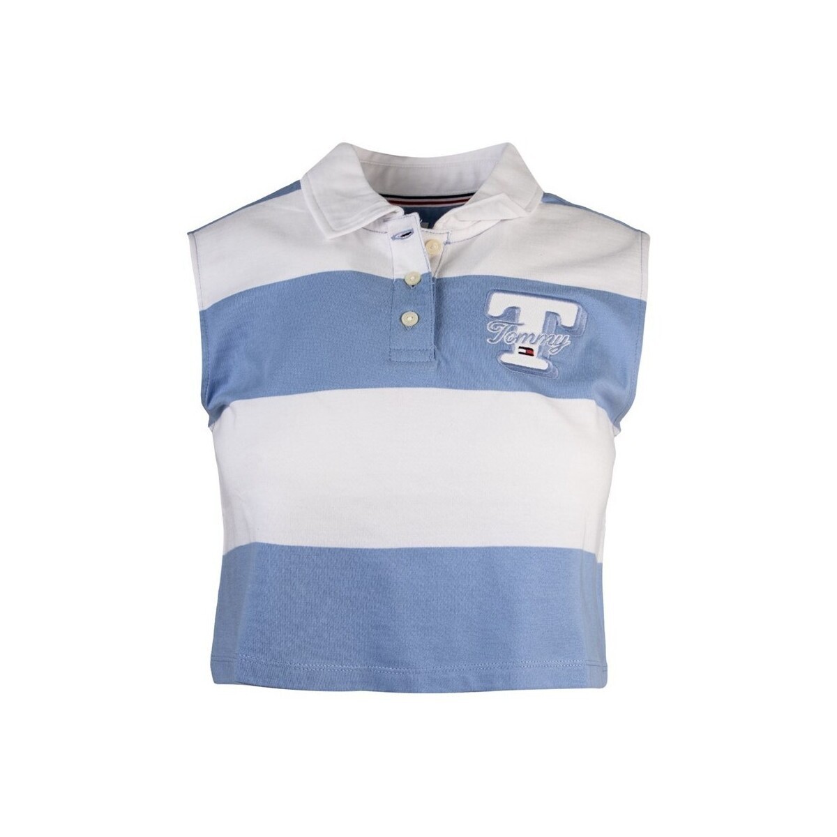 Tommy Hilfiger  DW0DW17764C3S  ruznobarevne