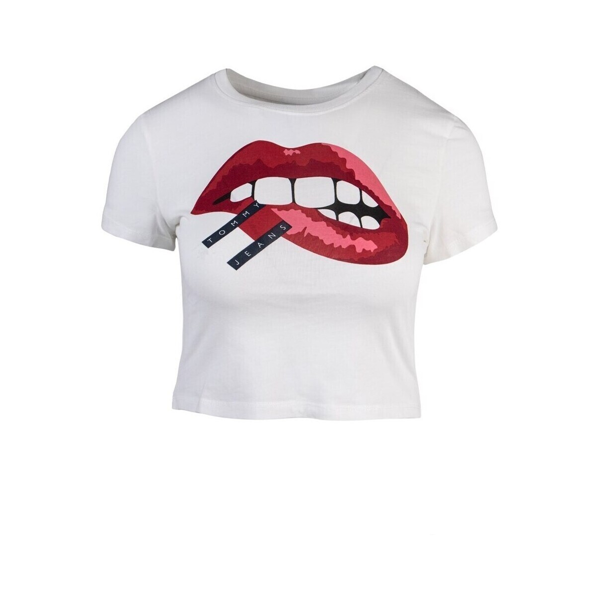 Tommy Hilfiger  DW0DW17373YBR  ruznobarevne