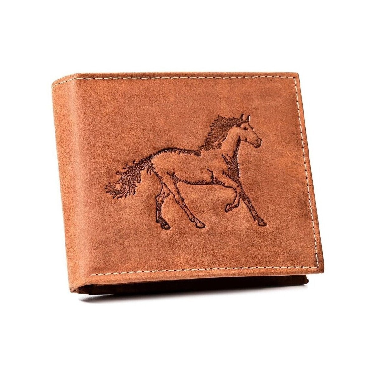 Always Wild  N992CHMHORSEBLCO78937  Hnědá