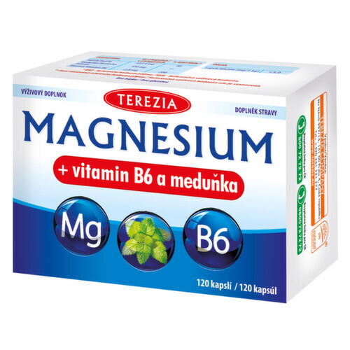TEREZIA Magnesium + vitamin B6 a meduňka cps.120