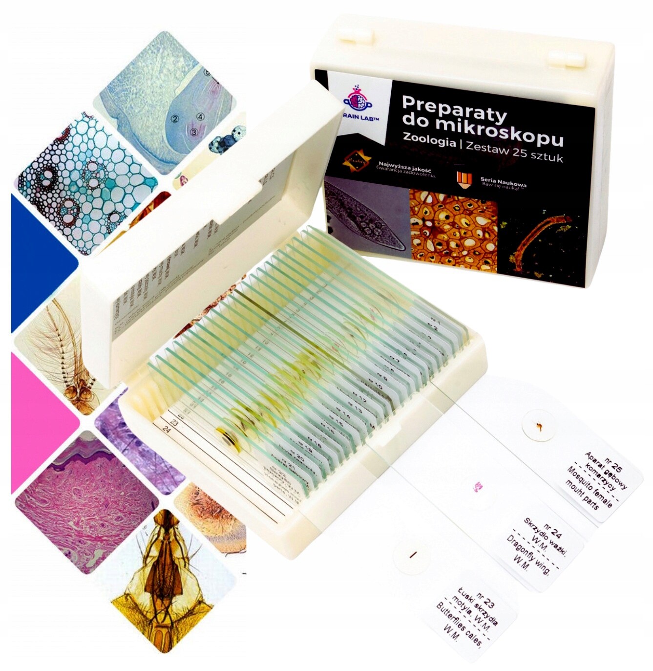 Přípravky na mikroskop Zoologie 25 Ks Vzorky Sklíčko Brain Lab