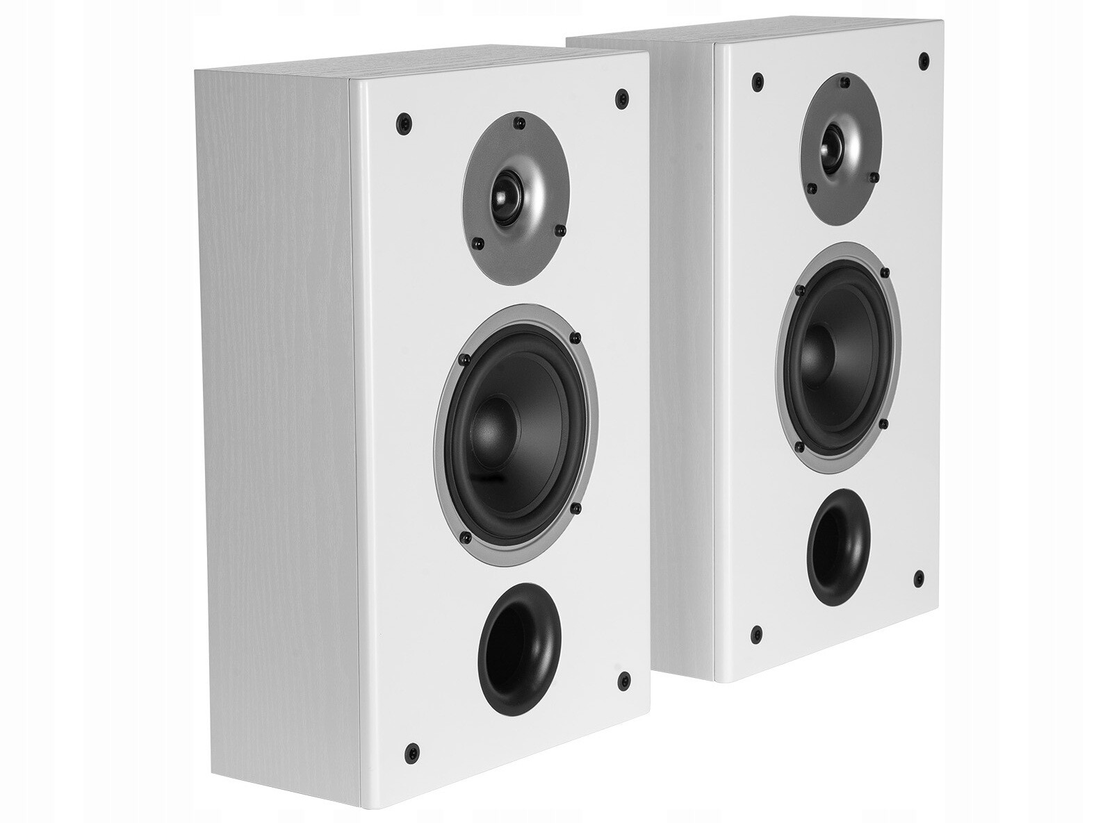 Wilson Raptor On-Wall (Bílý) pár