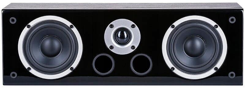 Wilson Raptor Vocal (černý)