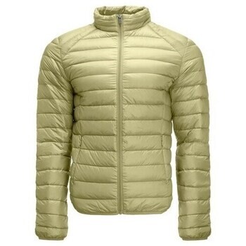 JOTT  PS23MDOW02247  ruznobarevne