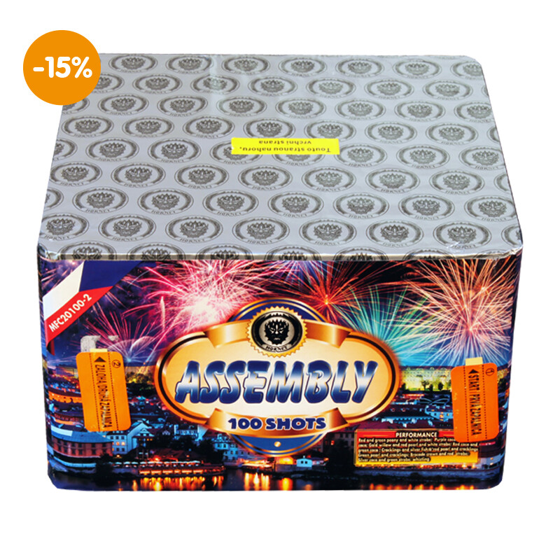 ASSEMBLY 100 RAN