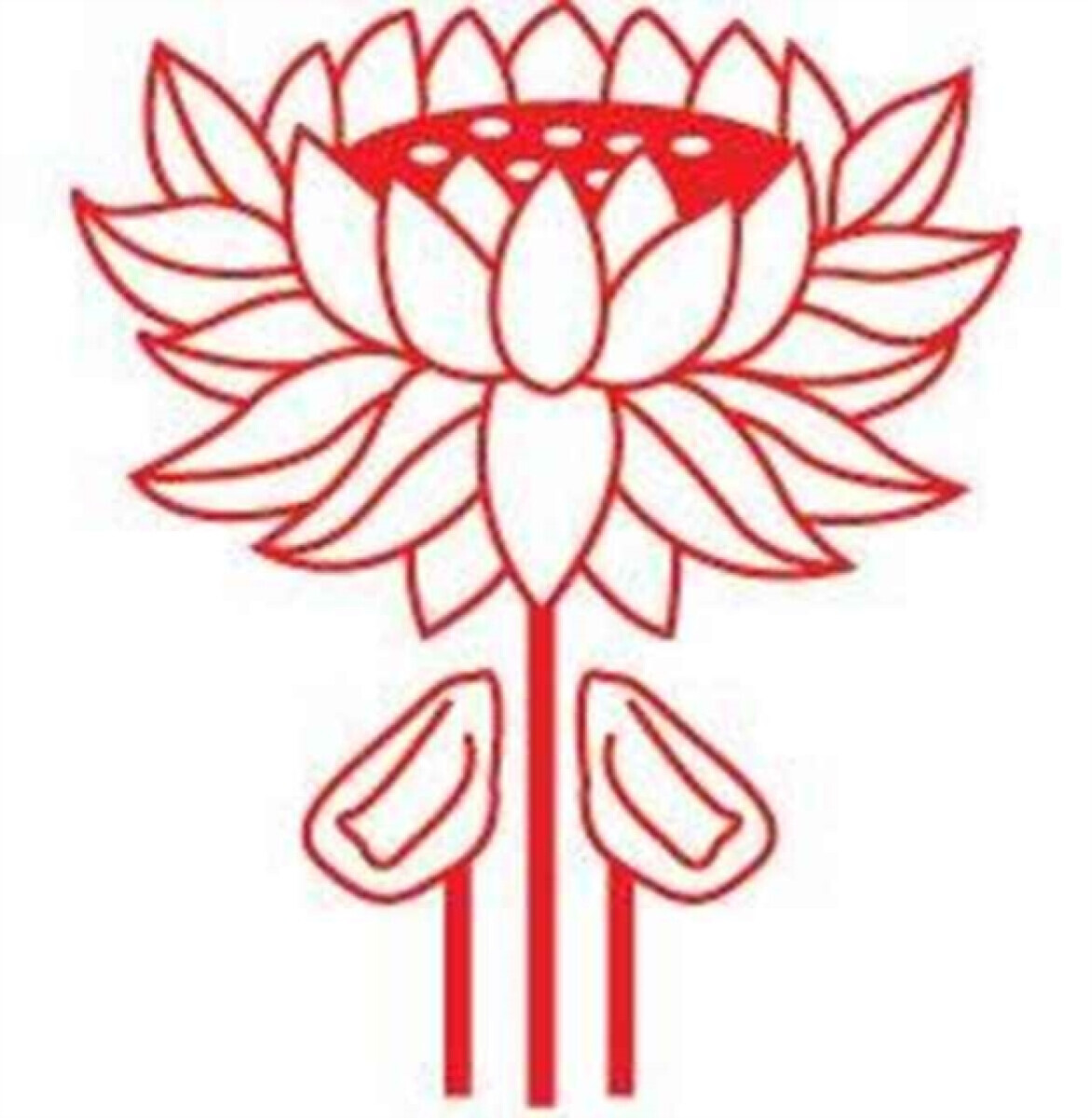 The Fifth Tiger - Robert J. Muscat