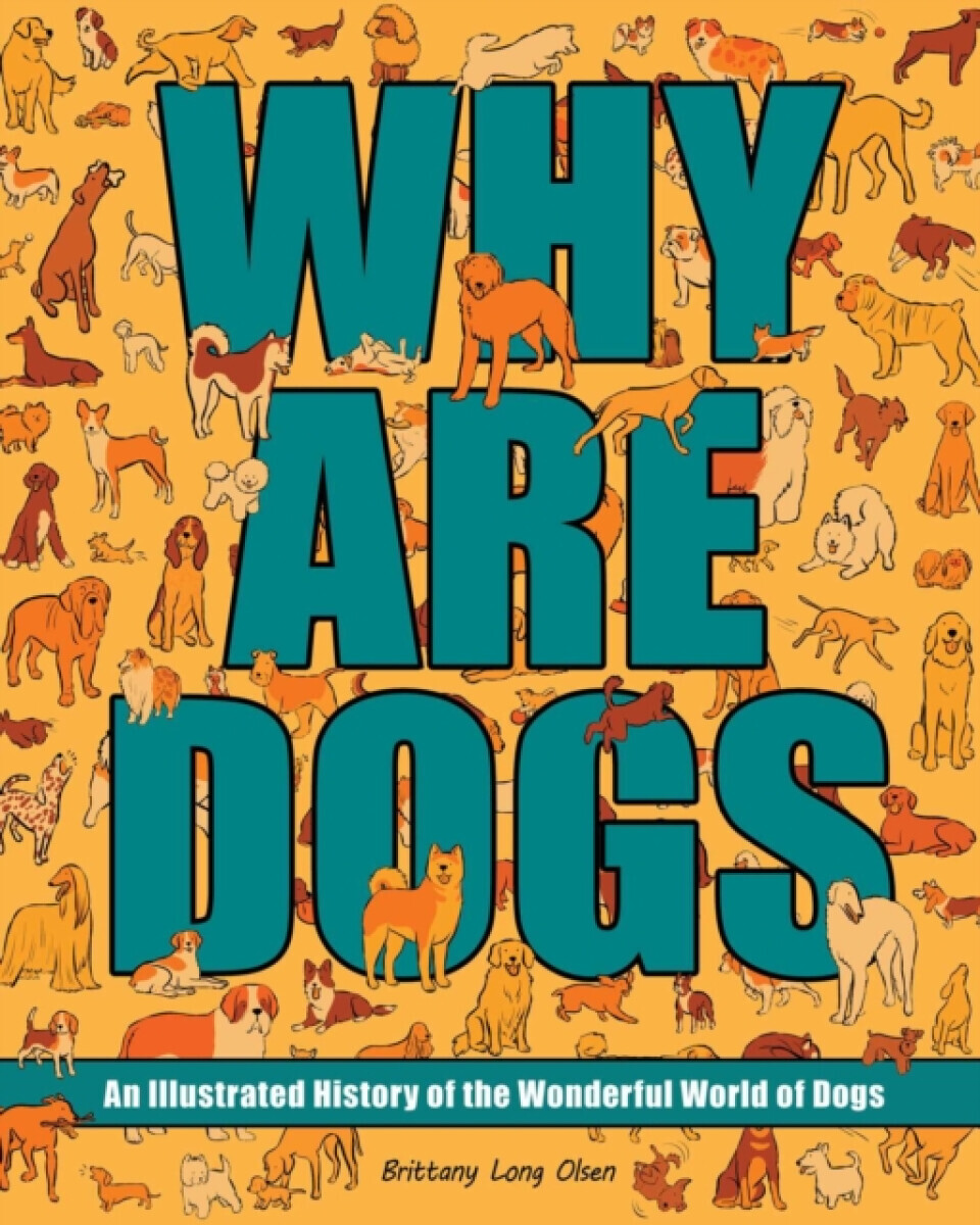Why Are Dogs - Brittany Long Olsen
