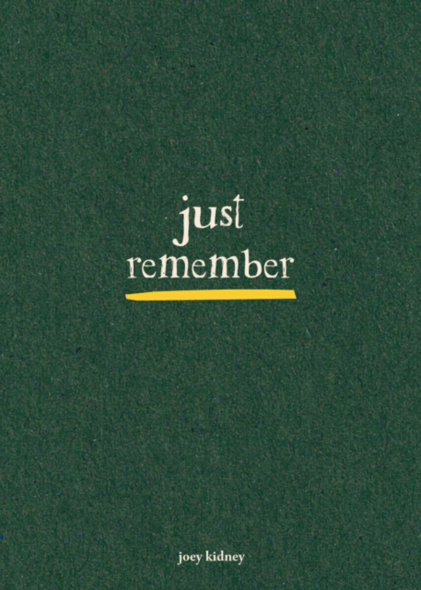 Just Remember - Joey Kidney