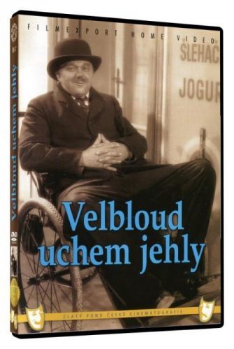 Velbloud uchem jehly (DVD)