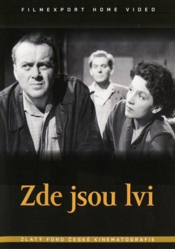 Zde jsou lvi (DVD)