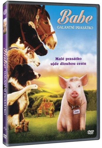 DVD Babe: Galantní prasátko