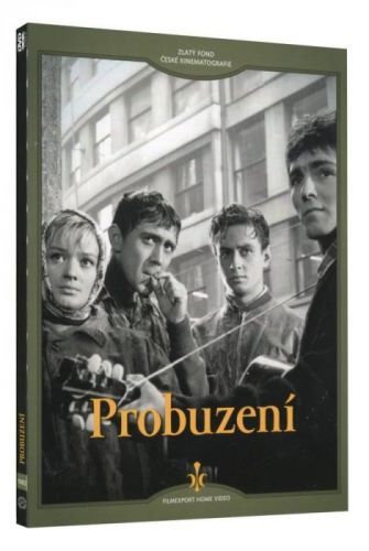 Probuzení (DVD) - digipack