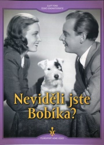 Neviděli jste Bobíka? (DVD) - digipack