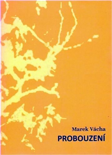 Probouzení
					 - Vácha Marek