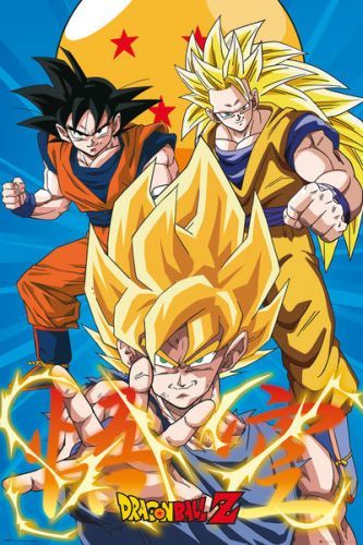 Posters Plakát, Obraz - Dragon Ball - Z3 Gokus Evo, (61 x 91,5 cm)