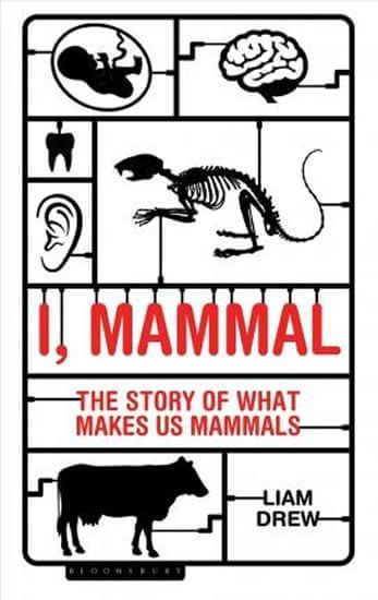 Drew Liam: I, Mammal : The Story of What Makes Us Mammals