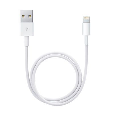 Apple Lightning to USB Cable 0,5m