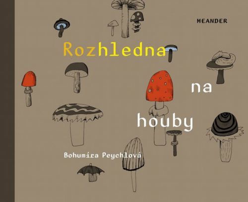 Rozhledna na houby
					 - Peychlová Bohumíra