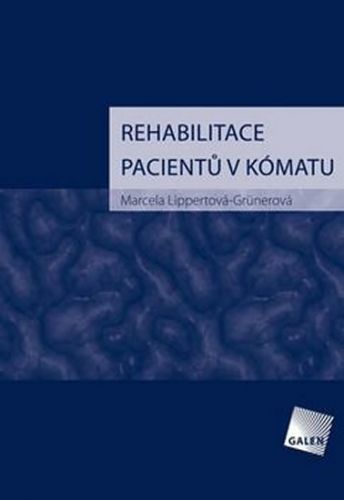 Rehabilitace pacientů v kómatu
					 - Lippertová-Grünerová Marcela