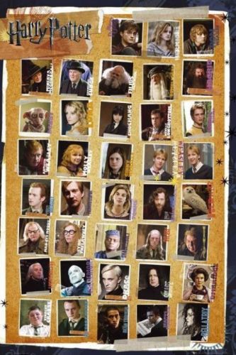 GB EYE Plakát, Obraz - Harry Potter - Postavy, (61 x 91.5 cm)